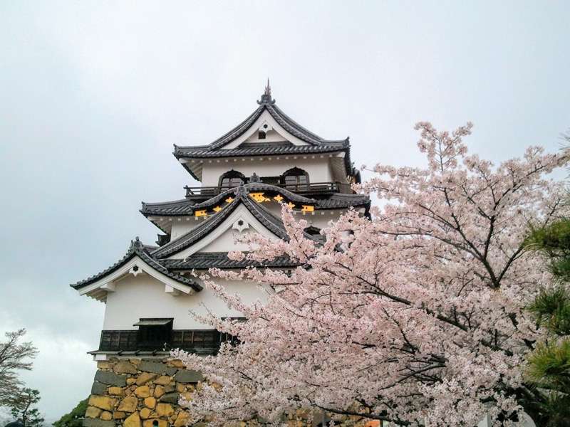 彦根城-天守2.jpg 彦根城 天守2