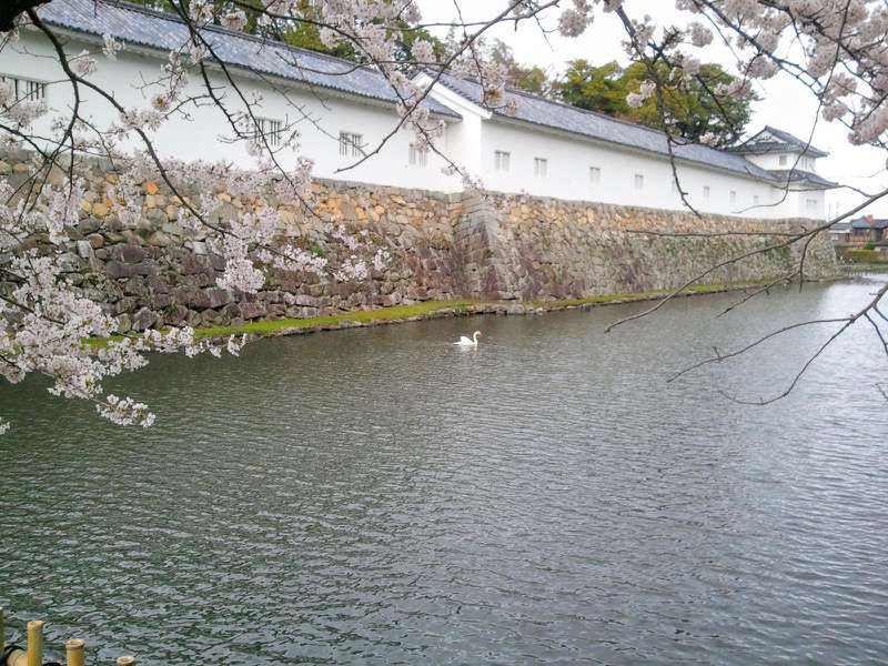 彦根城-お堀.jpg 彦根城 お堀