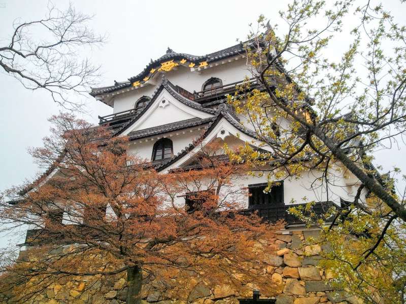 彦根城-天守5.jpg 彦根城 天守5