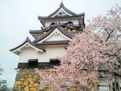 美しい国宝天守！彦根城｜滋賀県彦根市