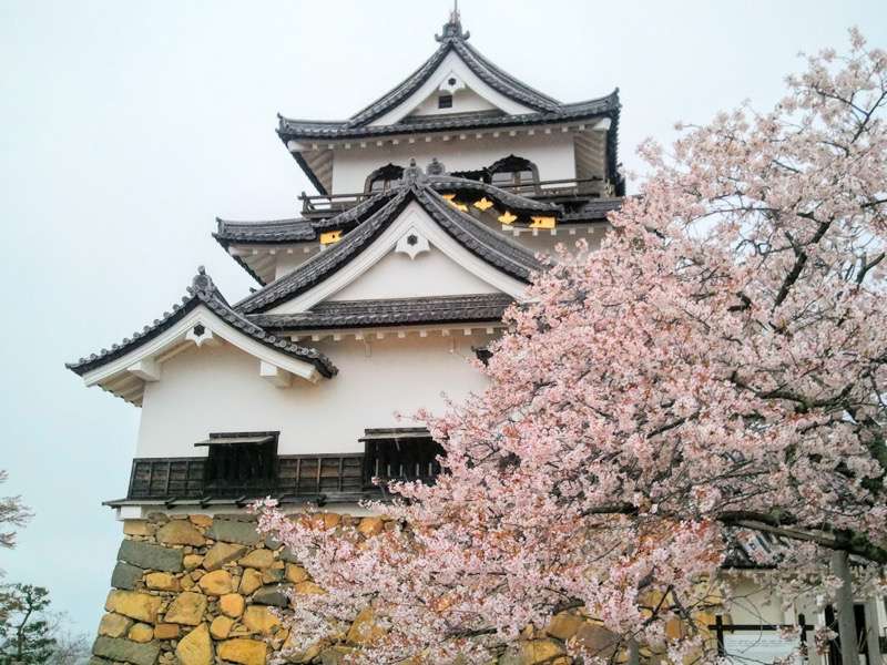 彦根城-天守6.jpg 彦根城 天守6