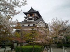 数少ない現存天守の一つ！国宝 犬山城｜愛知県犬山市