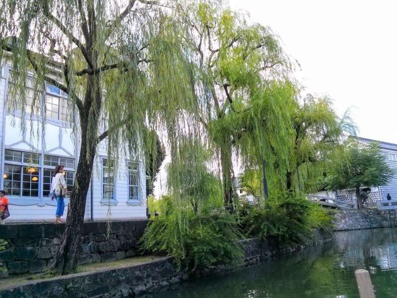 くらしき川舟流し7.jpg くらしき川舟流し7