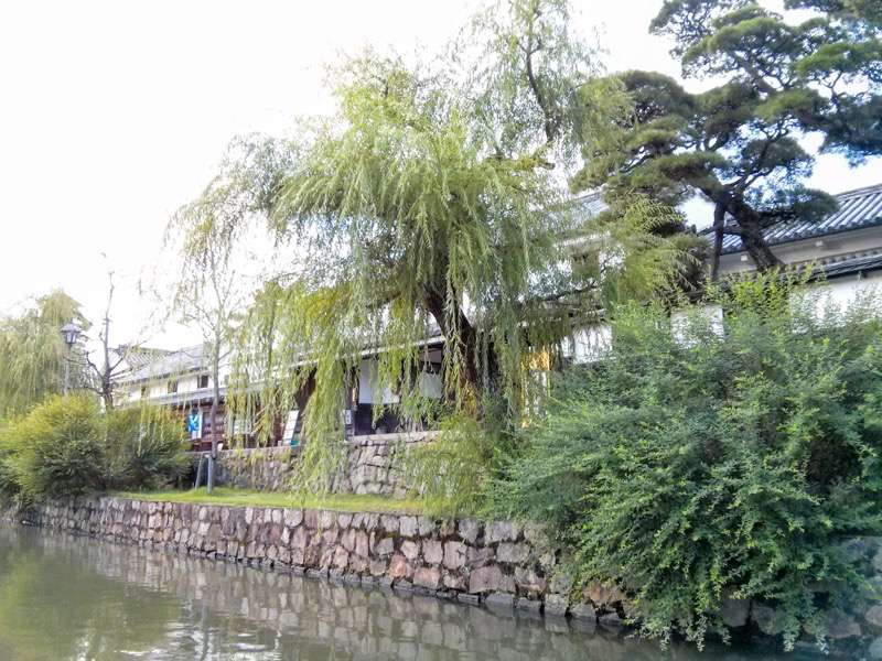 くらしき川舟流し9.jpg くらしき川舟流し9