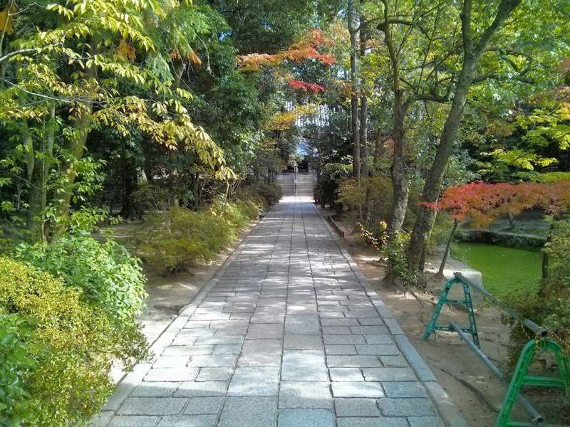 唐招提寺-参道2.jpg 唐招提寺 参道2
