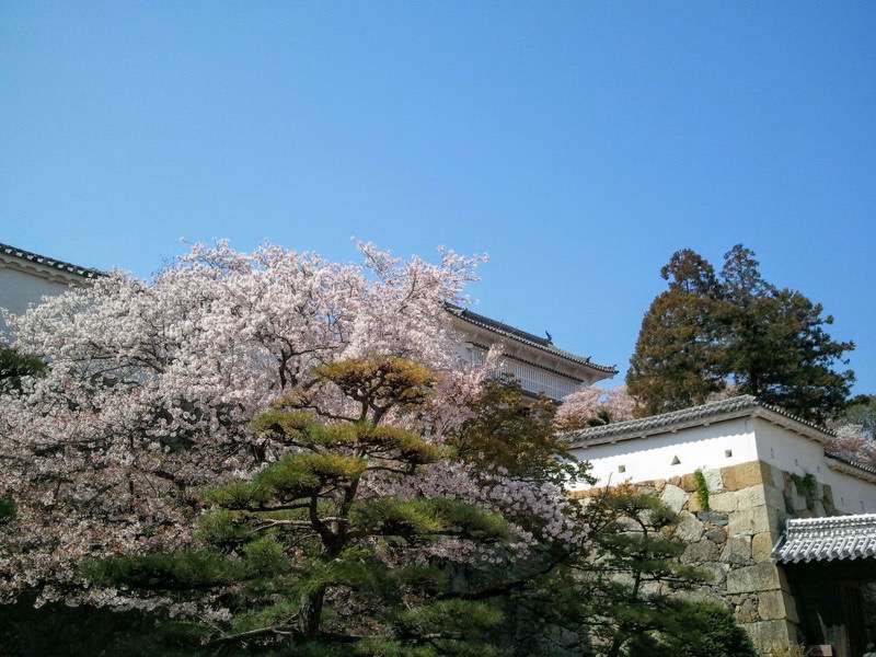 姫路城-菱の門いの門の間4.jpg 姫路城 菱の門いの門の間4