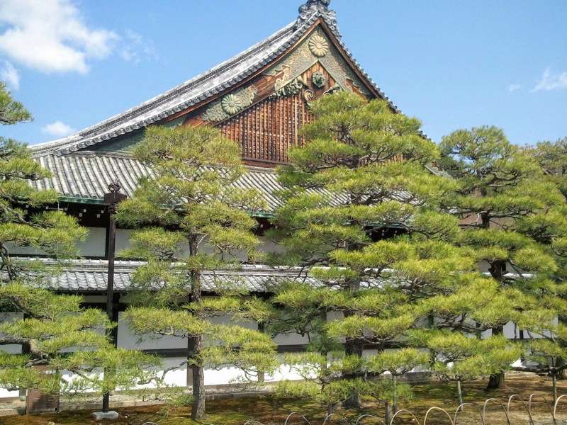 二の丸御殿5.jpg 二の丸御殿5