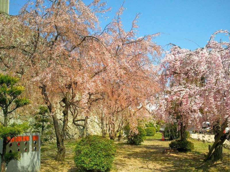 姫路城-ぬの門とりの門の間2.jpg 姫路城 ぬの門とりの門の間2