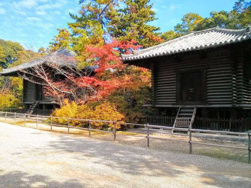 唐招提寺-経蔵と宝蔵.jpg 唐招提寺 経蔵と宝蔵