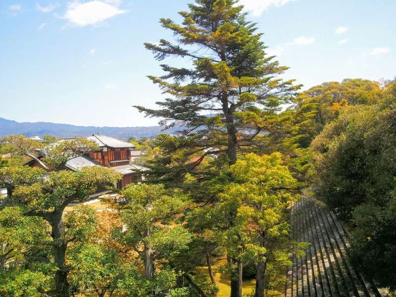 天守閣跡からの眺め１２