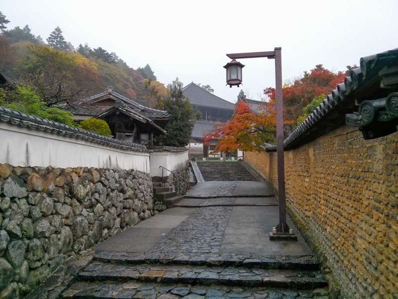 東大寺-裏参道.jpg 東大寺 裏参道