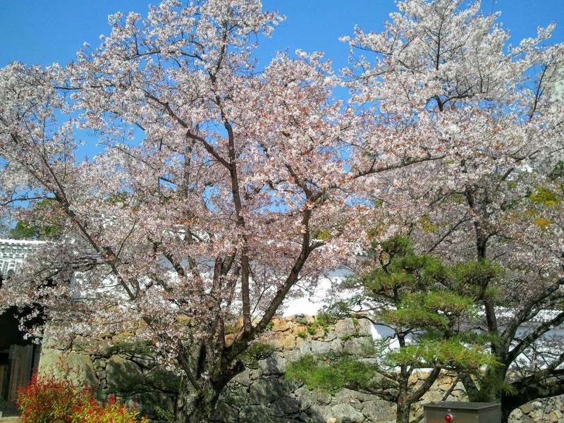 姫路城-菱の門いの門の間6.jpg 姫路城 菱の門いの門の間6