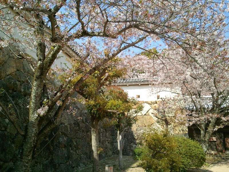 姫路城-ろの門付近.jpg 姫路城 ろの門付近