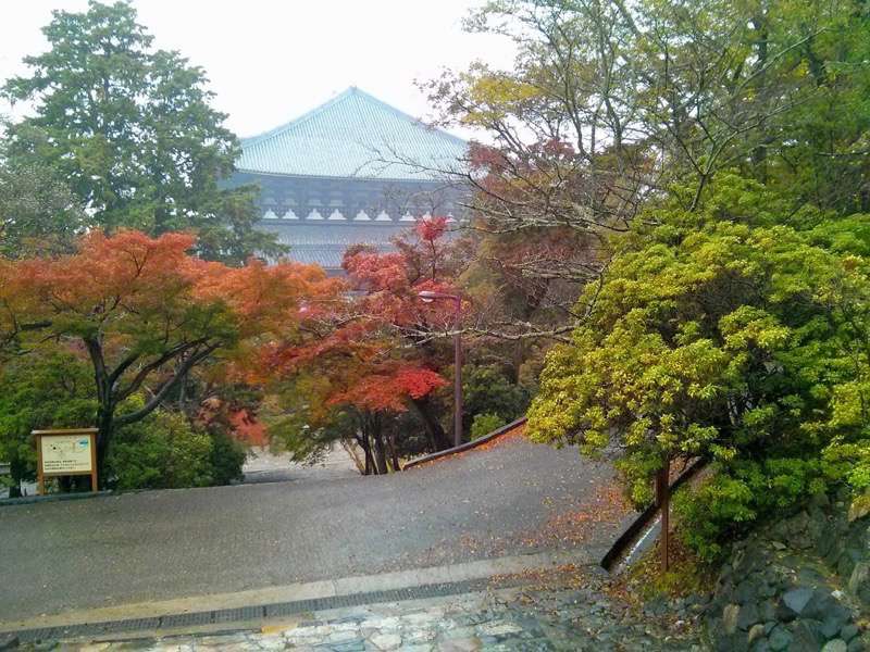 東大寺-猫段1.jpg 東大寺 猫段1