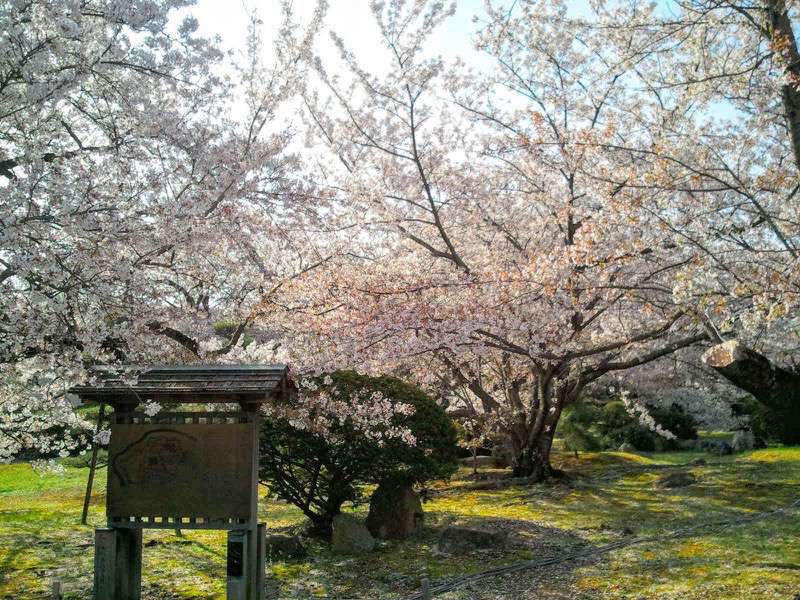 姫路城-西の丸9.jpg 姫路城 西の丸9