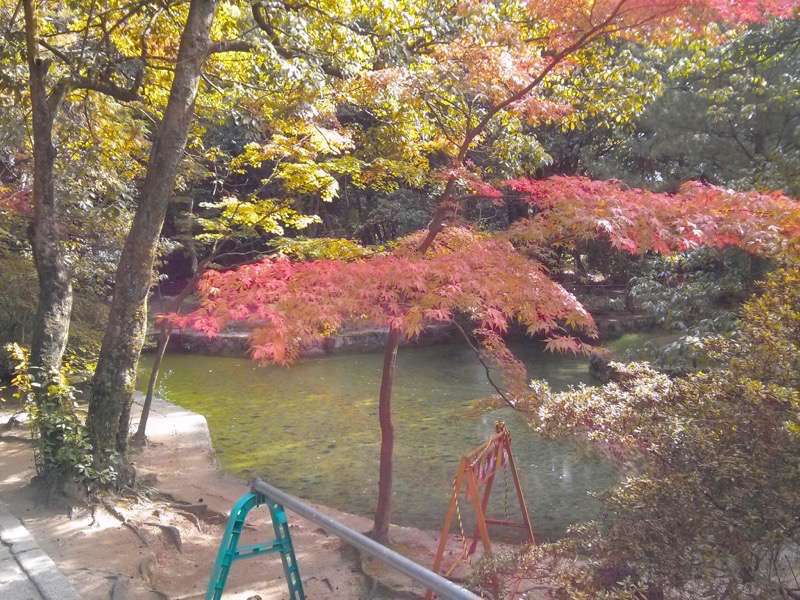 唐招提寺-参道1.jpg 唐招提寺 参道1