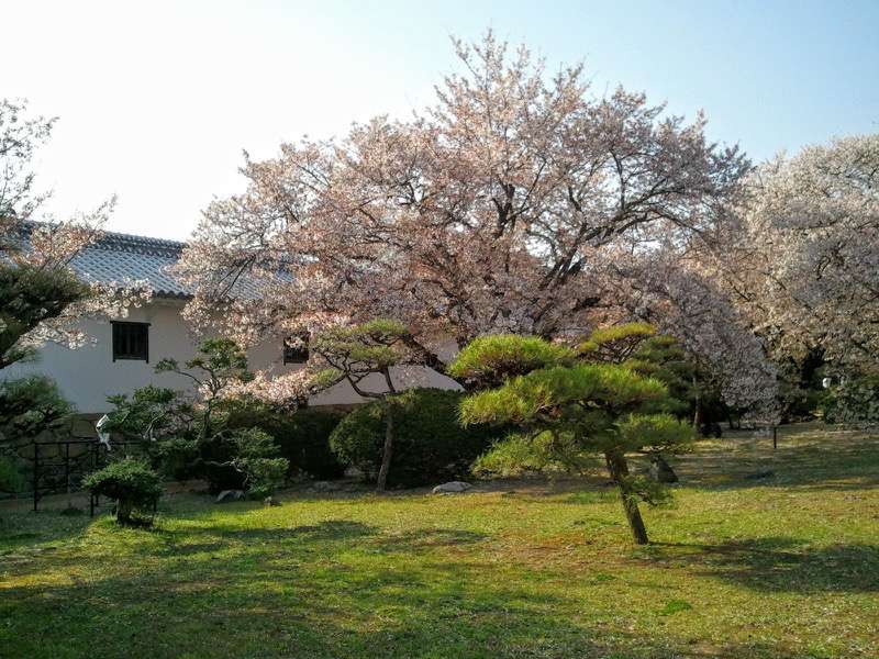 姫路城 西の丸１１