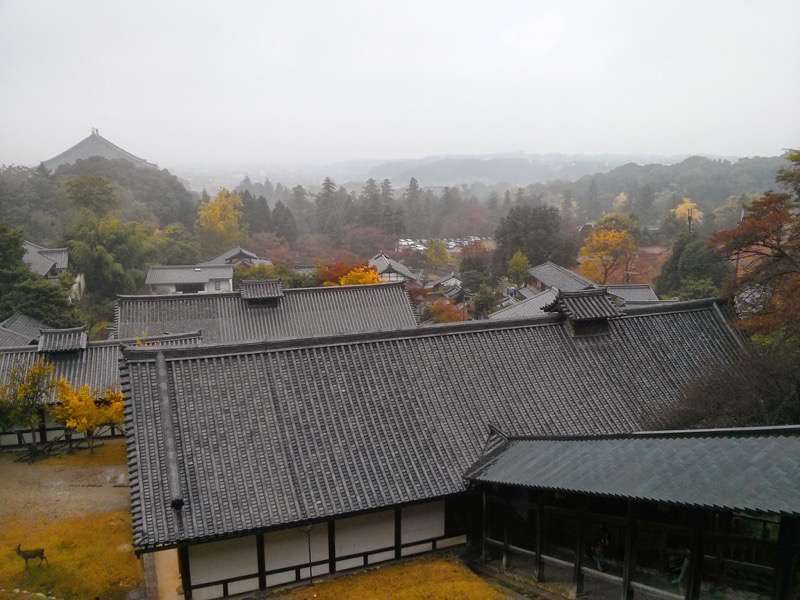東大寺-二月堂からの眺め2.jpg 東大寺 二月堂からの眺め2