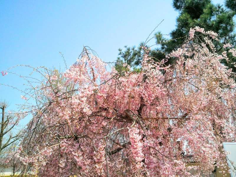 姫路城-ぬの門とりの門の間3.jpg 姫路城 ぬの門とりの門の間3