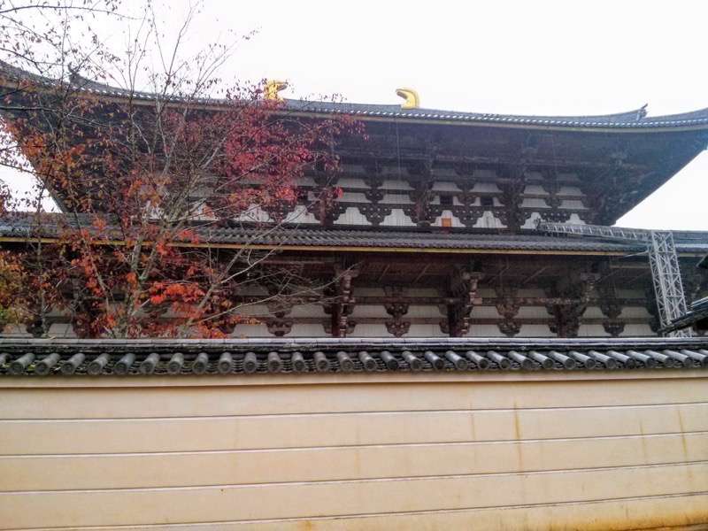 東大寺-大仏殿北側から1.jpg 東大寺 大仏殿北側から1