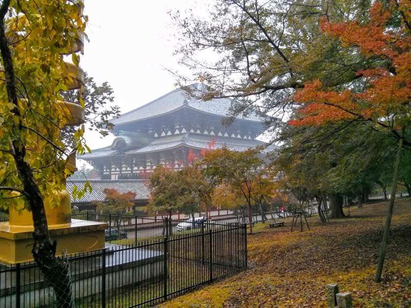 東大寺-大仏殿東側より3.jpg 東大寺 大仏殿東側より3