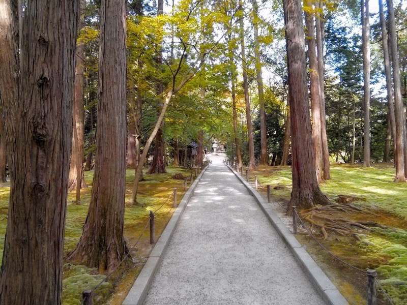 唐招提寺-参道3.jpg 唐招提寺 参道3