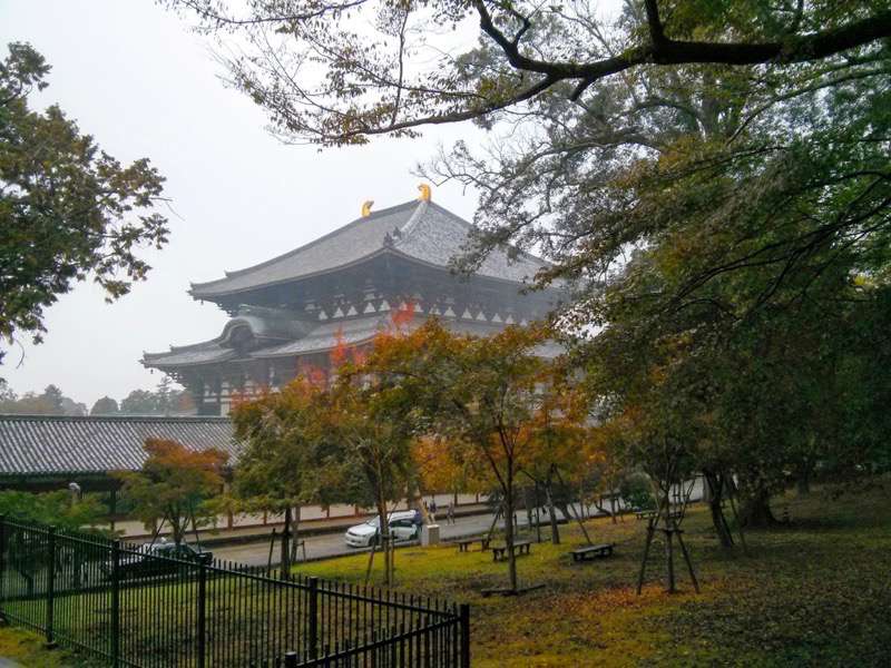 東大寺-大仏殿東側より4.jpg 東大寺 大仏殿東側より4