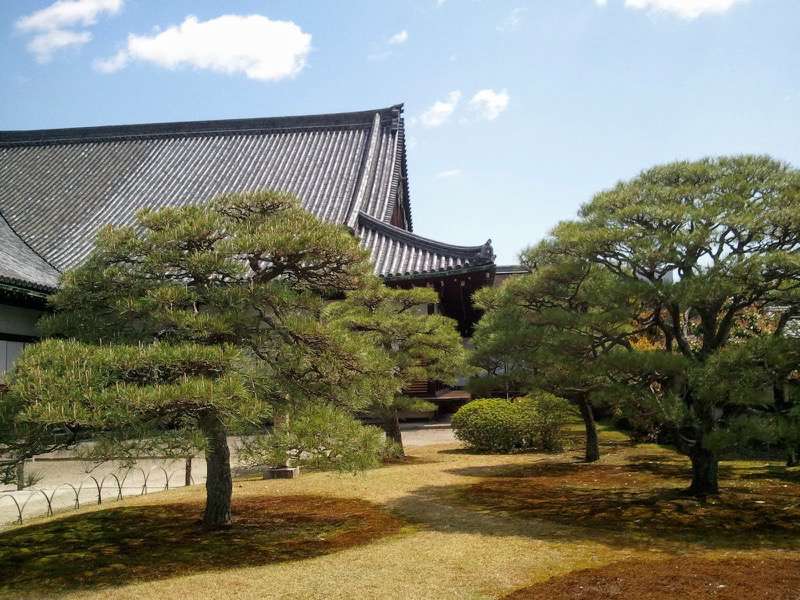 二の丸御殿11.jpg 二の丸御殿11