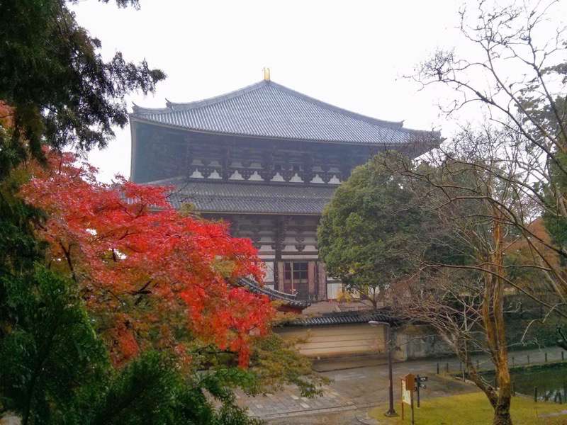 東大寺-大仏殿東側より1.jpg 東大寺 大仏殿東側より1