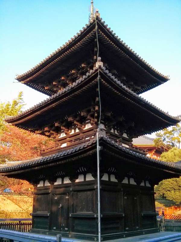 興福寺-三重塔.jpg 興福寺 三重塔