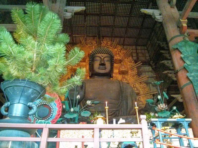 東大寺 盧舎那仏像１０