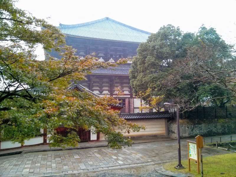 東大寺-大仏殿東側より2.jpg 東大寺 大仏殿東側より2