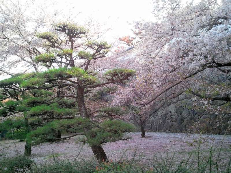 姫路城-いの門と菱の門帰り.jpg 姫路城 いの門と菱の門帰り