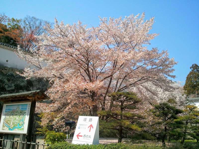 姫路城-菱の門いの門の間1.jpg 姫路城 菱の門いの門の間1