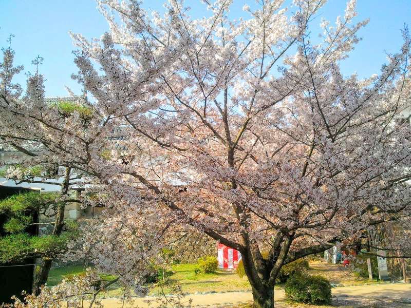 姫路城 西の丸３