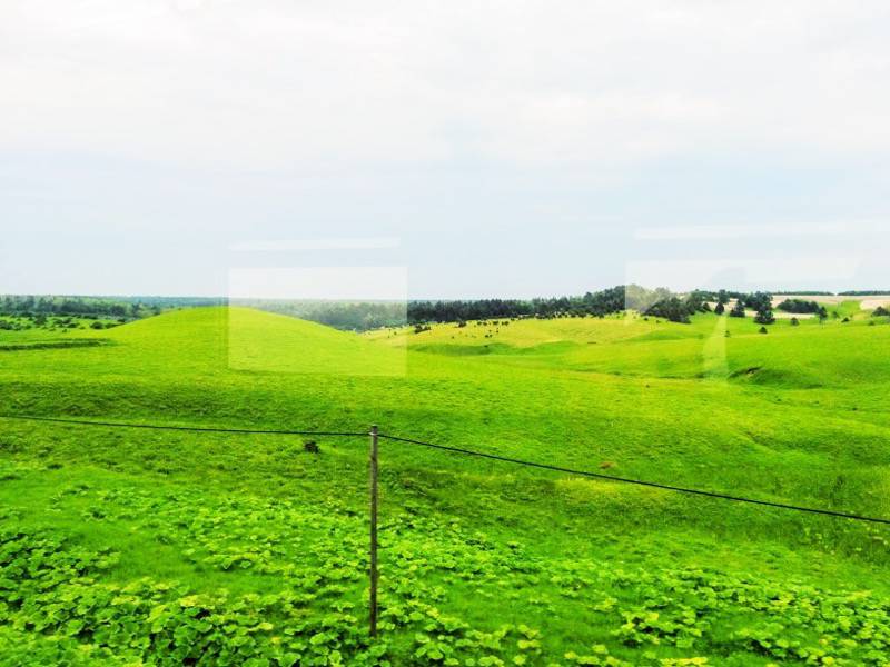 釧路〜根室-厚岸・根室間の湿原10.jpg 釧路 根室 厚岸 根室間の湿原10