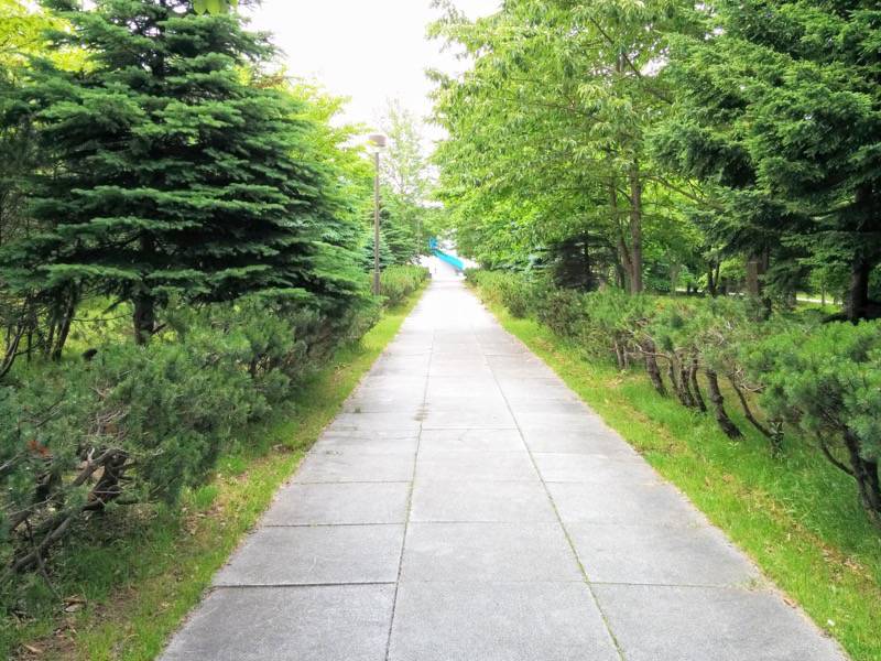 モエレ沼公園-サクラの森1.jpg モエレ沼公園 サクラの森1