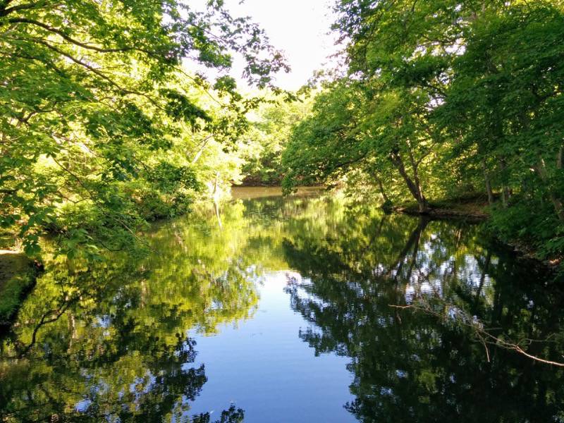 大沼公園-島巡りの路-石楠花島より.jpg 大沼公園 島巡りの路 石楠花島より