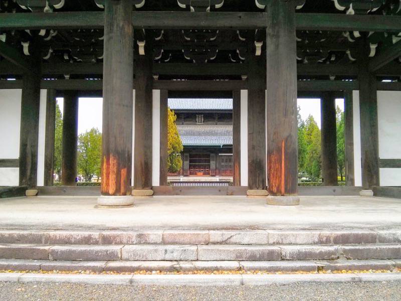 紅葉の名所！東福寺｜京都府京都市 ゆういちろグ