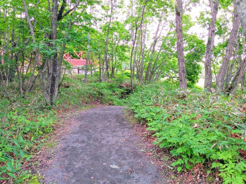 駐車場から細岡ビジターズラウンジ.jpg 駐車場から細岡ビジターズラウンジ