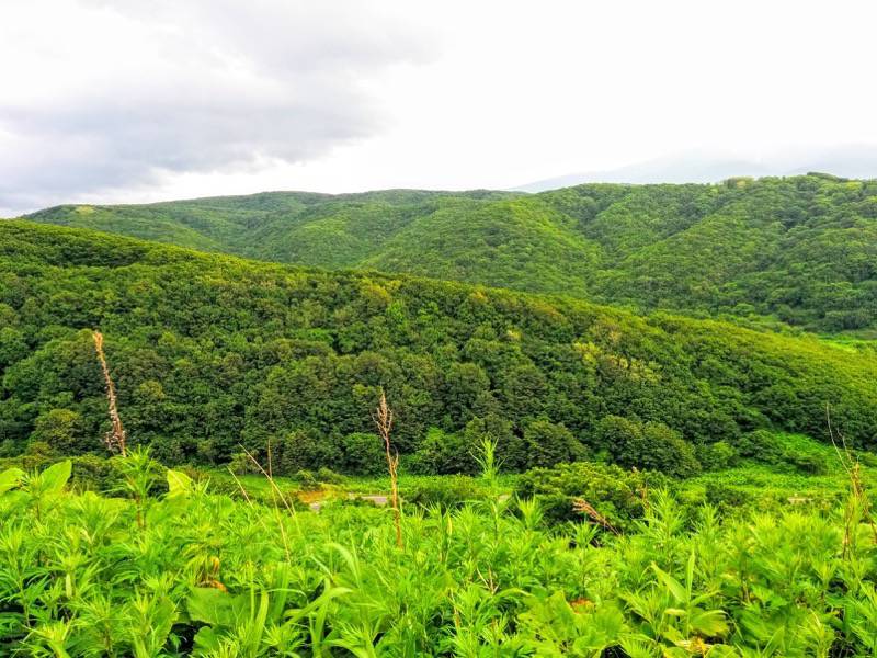 積丹岬 自然遊歩道３