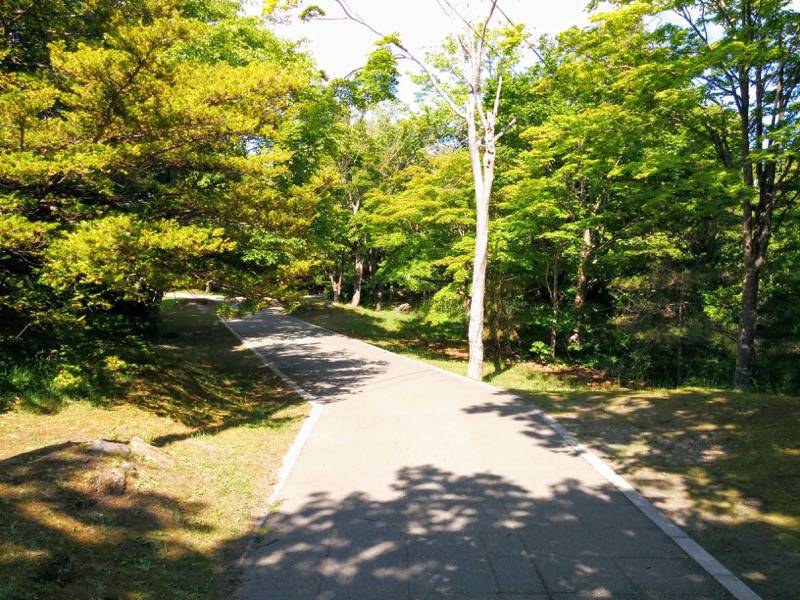 大沼公園-大島の路-西大島.jpg 大沼公園 大島の路 西大島