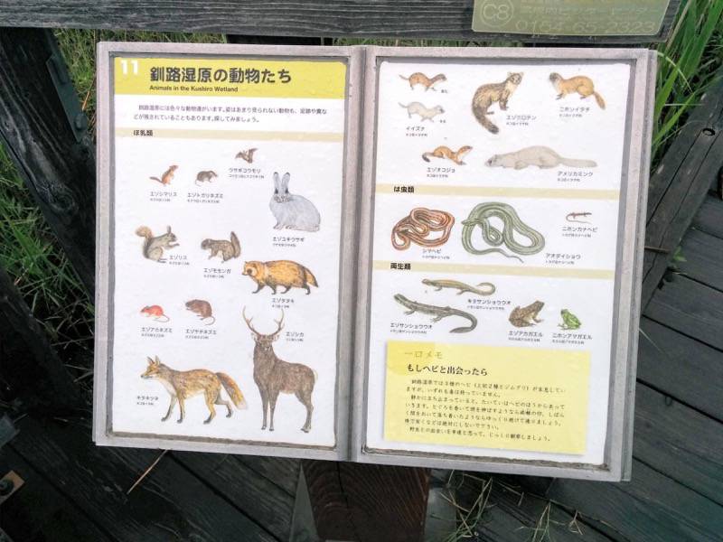 温根内木道11.jpg 温根内木道11