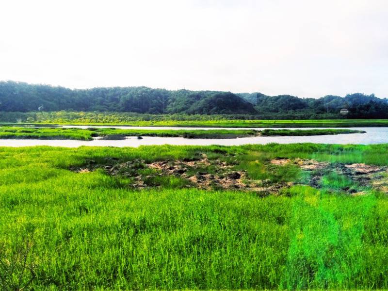 釧路〜根室-厚岸湖5.jpg 釧路 根室 厚岸湖5