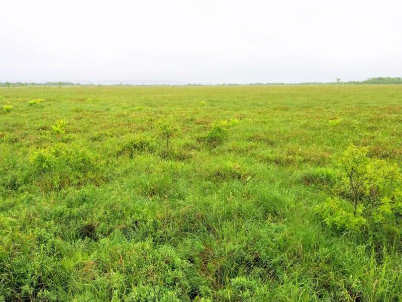 温根内木道8−1.jpg 温根内木道8−1