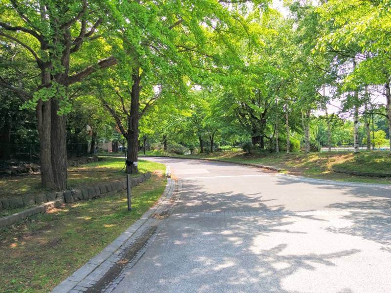 中島公園 園内風景２