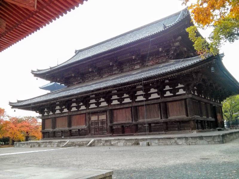 東寺 金堂３