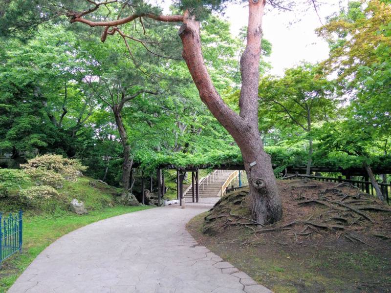 函館公園 園内歩道８