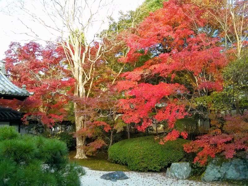 南禅寺 天授庵本堂前庭２