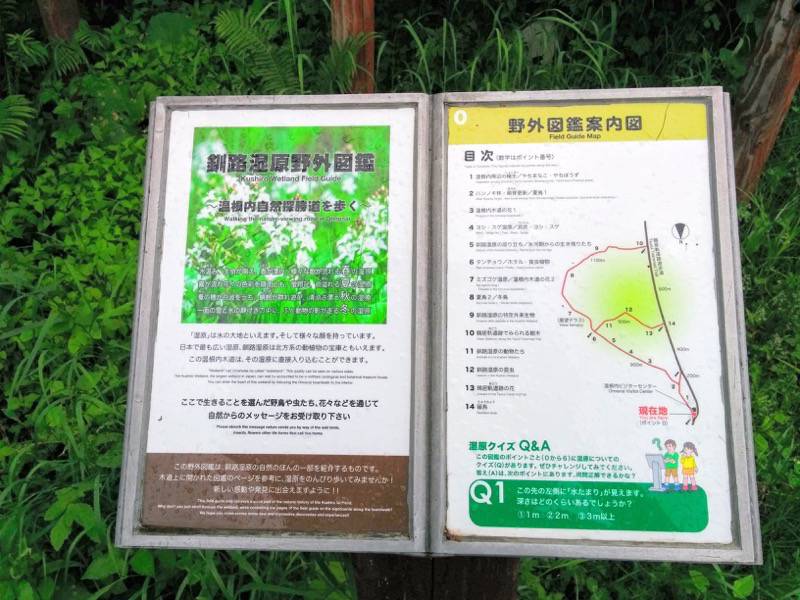 温根内木道0.jpg 温根内木道0